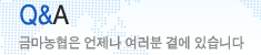 Q&A - ݸ   翡 ֽϴ